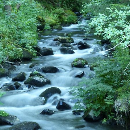 Le Gite Du Velay Bains المظهر الخارجي الصورة